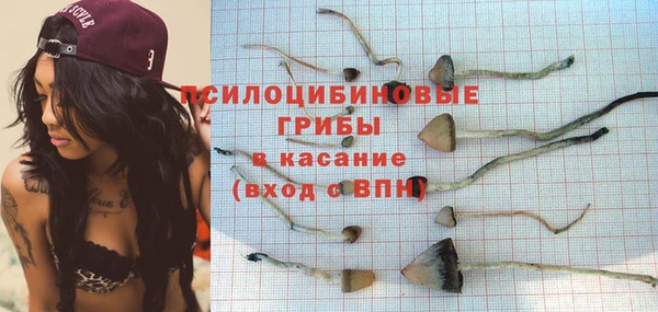 соль ск Кодинск