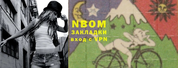 стаф Кинешма